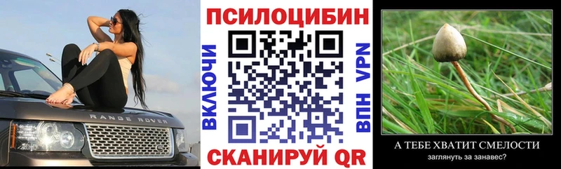 Галлюциногенные грибы прущие грибы  купить наркоту  Зея 
